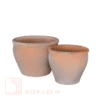 Garlic - Terracotta Planters and Pots
