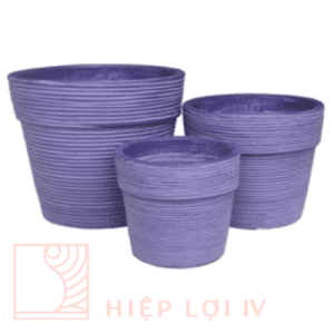 #HLS 0025