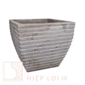 #HLNC 0221
