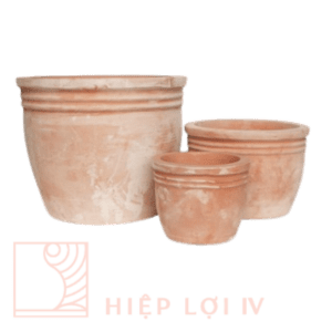 #HL 0024