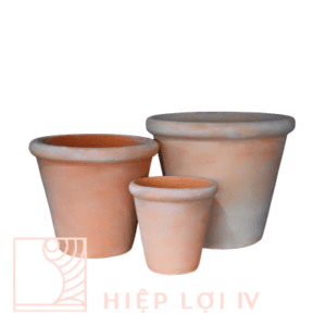 #HL 0065