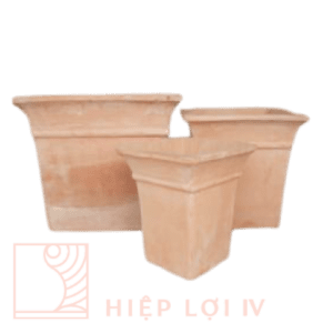 #HL 0100