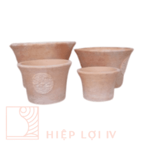 #HL 0101