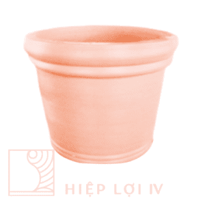 #HL 0203