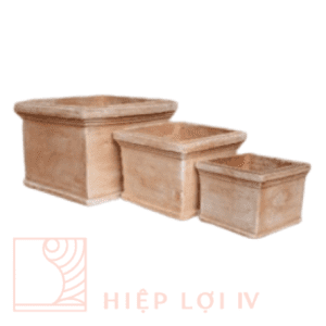 #HL 0205
