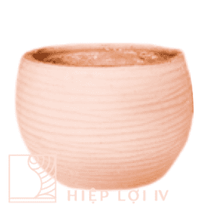 #HL 0207