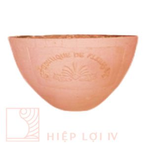 #HL 0225