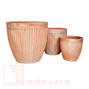 #HL 0239