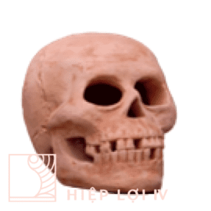 #HL 0298