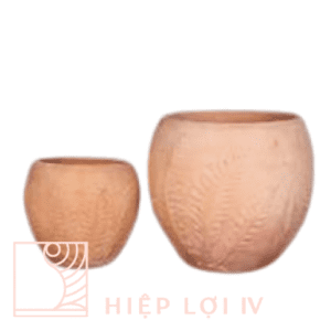 #HL 0311