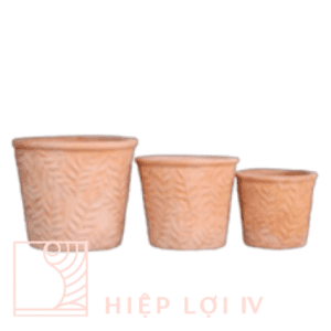 #HL 0312