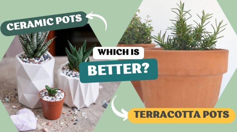 Ceramics vs. Terracotta